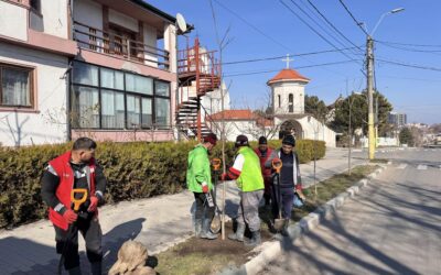 Techirghiol prinde rădăcini noi